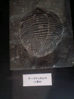 100614_1031~0001.jpg