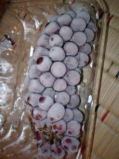 100825_0312~0001.jpg