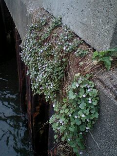 101025_1549~0001.jpg