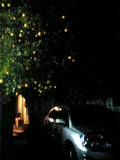 101229_0408~0002.jpg