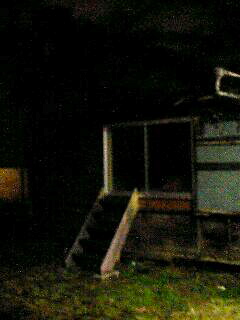 101229_0417~0001.jpg