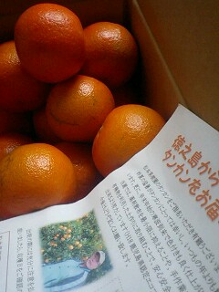 110209_1100~0001.jpg