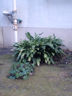 110219_1545~0001.jpg