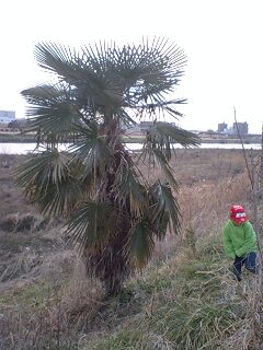 110219_1625~0001.jpg