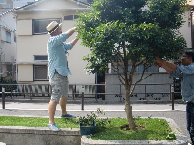 CIMG0480.jpg