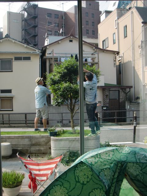 CIMG0481.jpg