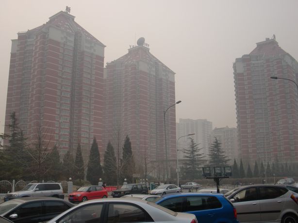 CIMG3591.jpg