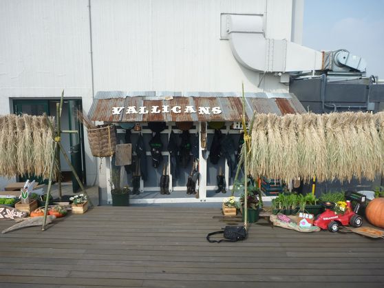 P1010236.jpg