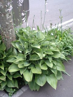 090718_0938~0002.jpg